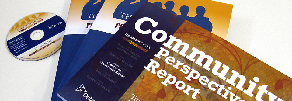 Series of volumes from the Review of the Roots of Youth Violence report.