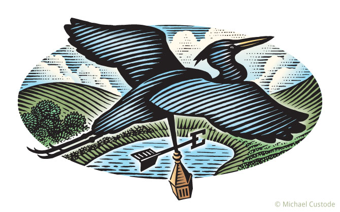 Woodcut-style illustration of a weathervane in the shape of a heron with a pond in the background.