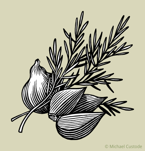 Woodcut-style illustration of sprigs of rosemary and a head and some cloves of garlic.